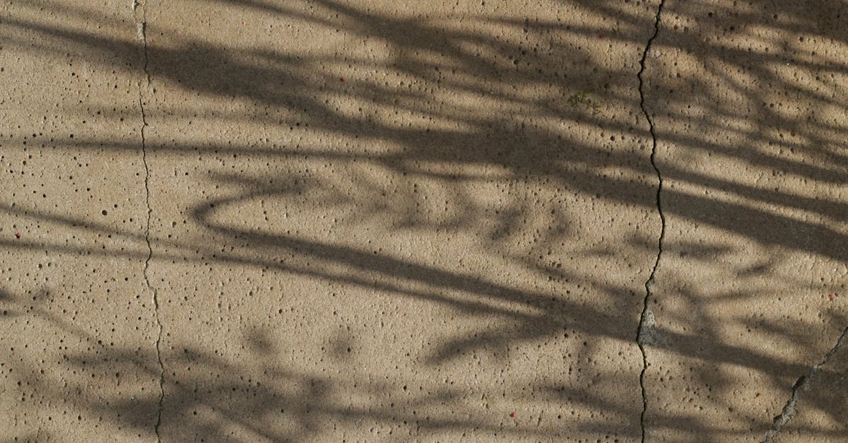 Person standing outside a walled structure, showing real change is built beyond the system