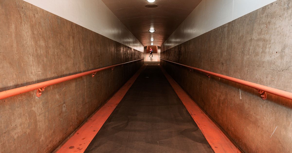 A long dim corridor with one distant doorway of light, the comfortable cage of routine