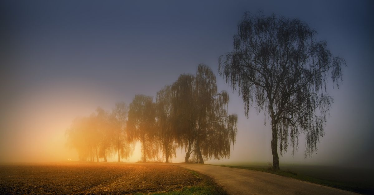 Sunrise breaking through dark fog, the quiet recovery that becomes a competitive edge