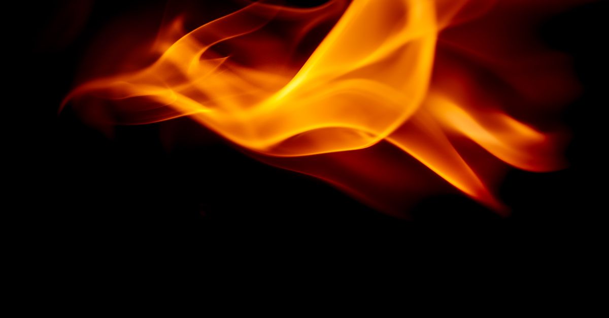 A Phoenix rising from fire above the Ember Commons, House of the Flameborn